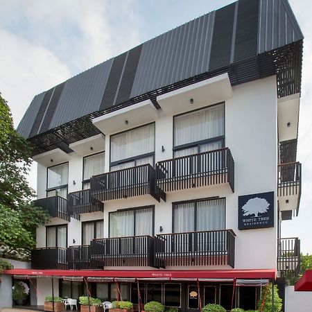 White Tree Residence Τζακάρτα Εξωτερικό φωτογραφία